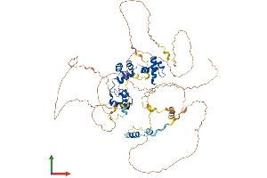 AlphaFold protein structure predicition of Human Recombinant MYBL2 Protein, UniprotID P10244