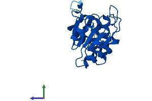 AlphaFold protein structure predicition of Human Recombinant DUSP3 Protein, UniprotID P51452