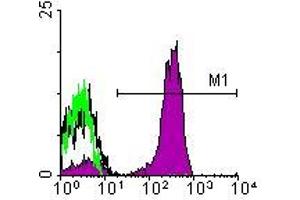 Image no. 1 for anti-CD3 epsilon (CD3E) antibody (FITC) (ABIN135465) (CD3 epsilon antibody  (FITC))