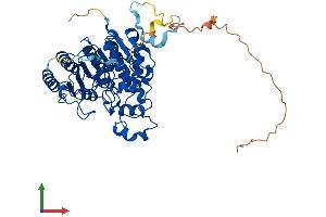 AlphaFold protein structure predicition of Mouse Recombinant Hdac1 Protein, UniprotID O09106 (HDAC1 Protein (AA 1-482) (His tag))