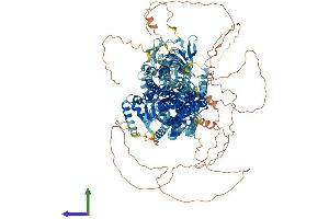 AlphaFold protein structure predicition of Mouse Recombinant Atp10a Protein, UniprotID O54827 (ATP10A Protein (AA 1-1508) (His tag))