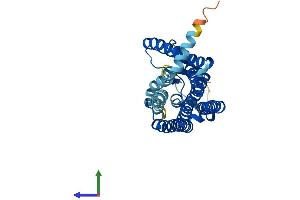 AlphaFold protein structure predicition of Human Recombinant OR5M10 Protein, UniprotID Q6IEU7 (OR5M10 Protein (AA 1-315) (His tag))