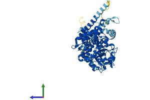 AlphaFold protein structure predicition of Mouse Recombinant Cyp4v2 Protein, UniprotID Q9DBW0