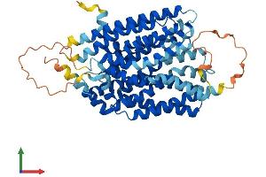 AlphaFold protein structure predicition of Mouse Recombinant Mfsd13a Protein, UniprotID Q6PDE8 (TMEM180 Protein (AA 1-519) (His tag))