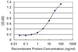 Detection limit for recombinant GST tagged RNF13 is 0. (RNF13 antibody  (AA 51-150))