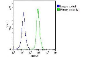 Overlay histogram showing A549 cells stained with (ABIN1881685 and ABIN2842377) (green line). (PRODH antibody  (AA 130-155))