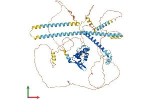 Protein Structure (PS) image for Forkhead Box P2 (FOXP2) (AA 1-714) protein (His tag) (ABIN7563468)