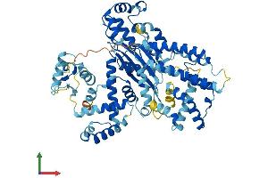 Protein Structure (PS) image for EPM2A (Laforin) Interacting Protein 1 (EPM2AIP1) (AA 1-607) protein (His tag) (ABIN7547392)