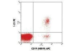Flow Cytometry (FACS) image for anti-T-Cell Leukemia/lymphoma 1A (TCL1A) antibody (PE) (ABIN2663891)