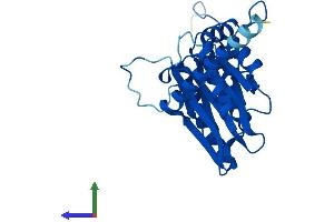 AlphaFold protein structure predicition of Mouse Recombinant Psma4 Protein, UniprotID Q9R1P0