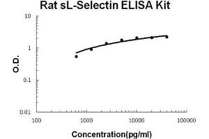 Rat sL-Selectin PicoKine ELISA Kit standard curve (L-Selectin ELISA Kit)