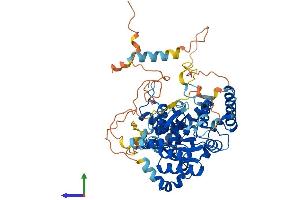 Protein Structure (PS) image for Guanine Nucleotide Binding Protein Like Protein 1 (GNL1) (AA 1-607) protein (His tag) (ABIN7548079)