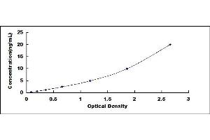 Typical standard curve (Septin 5 ELISA Kit)