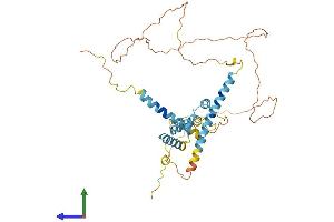AlphaFold protein structure predicition of Mouse Recombinant Rsrc2 Protein, UniprotID A2RTL5