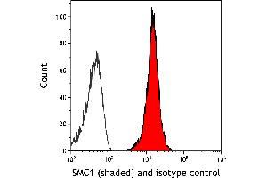 Flow Cytometry (FACS) image for anti-Structural Maintenance of Chromosomes 1A (SMC1A) (C-Term) antibody (ABIN7455193) (Recombinant SMC1A antibody  (C-Term))