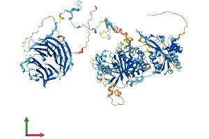 Protein Structure (PS) image for PAN2 Poly(A) Specific Ribonuclease Subunit Homolog (PAN2) (AA 1-1200) protein (His tag) (ABIN7564339)