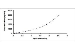 Typical standard curve (PIICP ELISA Kit)