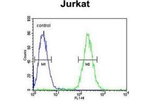Flow cytometric analysis of Jurkat cells using GNAT1 Antibody (C-term) Cat. (GNAT1 antibody  (C-Term))