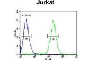 Flow cytometric analysis of Jurkat cells using GNAT1 Antibody (C-term) Cat. (GNAT1 antibody  (C-Term))