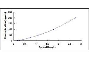 Image no. 1 for Apolipoprotein H (Beta-2-Glycoprotein I) (APOH) ELISA Kit (ABIN1874272)