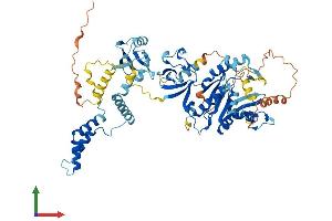 AlphaFold protein structure predicition of Mouse Recombinant Mpp4 Protein, UniprotID Q6P7F1 (MPP4 Protein (AA 1-635) (His tag))