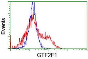 HEK293T cells transfected with either RC201294 overexpress plasmid (Red) or empty vector control plasmid (Blue) were immunostained by anti-GTF2F1 antibody (ABIN2454912), and then analyzed by flow cytometry. (GTF2F1 antibody)