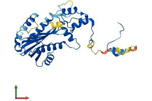 Protein Structure (PS) image for Ribonuclease H2, Subunit A (RNASEH2A) (AA 1-301) protein (His tag) (ABIN7560696)