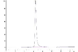 The purity of Human TEM1 is greater than 95 % as determined by SEC-HPLC. (CD248 Protein (AA 18-687) (His tag))