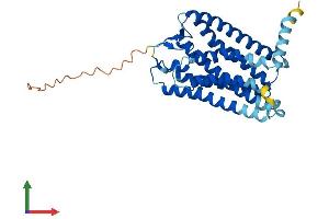 AlphaFold protein structure predicition of Human Recombinant OR4C5 Protein, UniprotID Q8NGB2 (OR4C5 Protein (AA 1-326) (His tag))