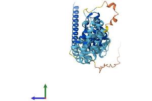 Protein Structure (PS) image for Mitochondrial Ribosomal Protein S27 (MRPS27) (AA 1-414) protein (His tag) (ABIN7551667)