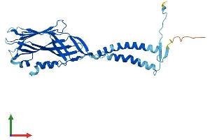 Protein Structure (PS) image for Transmembrane Protein 231 (TMEM231) (AA 1-316) protein (His tag) (ABIN7544452)