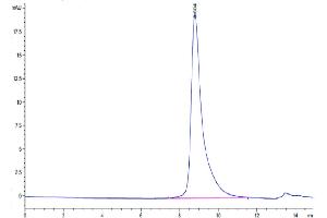 The purity of Biotinylated Human Siglec-10 is greater than 95 % as determined by SEC-HPLC. (SIGLEC10 Protein (AA 17-546) (His-Avi Tag,Biotin))