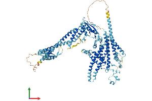 AlphaFold protein structure predicition of Human Recombinant ATP6V0A4 Protein, UniprotID Q9HBG4 (ATP6V0A4 Protein (AA 1-840) (His tag))