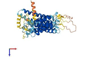 serine Incorporator 2 (SERINC2) (AA 1-450) protein (His tag)