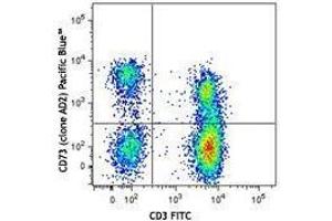 Flow Cytometry (FACS) image for anti-5'-Nucleotidase, Ecto (CD73) (NT5E) antibody (Pacific Blue) (ABIN2662177) (CD73 antibody  (Pacific Blue))