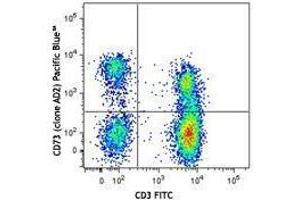 Flow Cytometry (FACS) image for anti-5'-Nucleotidase, Ecto (CD73) (NT5E) antibody (Pacific Blue) (ABIN2662176)
