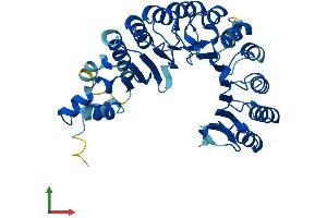 AlphaFold protein structure predicition of Mouse Recombinant Fbxl8 Protein, UniprotID Q8CIG9