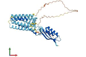 AlphaFold protein structure predicition of Human Recombinant SLC30A7 Protein, UniprotID Q8NEW0