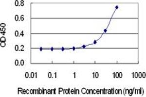 Detection limit for recombinant GST tagged RBP4 is 1 ng/ml as a capture antibody. (RBP4 antibody  (AA 19-201))