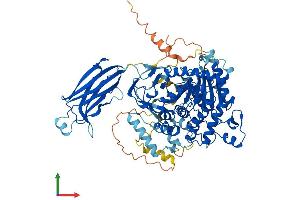 AlphaFold protein structure predicition of Mouse Recombinant Pla2g4a Protein, UniprotID P47713 (PLA2G4A Protein (AA 1-748) (His tag))