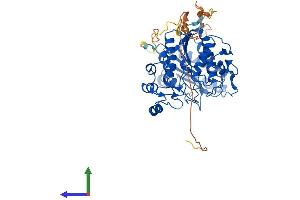 Protein Structure (PS) image for Histone Deacetylase 2 (HDAC2) (AA 1-488) protein (His tag) (ABIN7563520)