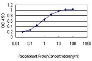 Detection limit for recombinant GST tagged GPR84 is approximately 0. (GPR84 antibody  (AA 208-316))