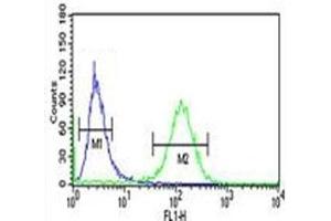 RAB27B antibody flow cytometric analysis of NCI-H460 cells (green) compared to a negative control (blue). (RAB27B antibody  (AA 186-215))
