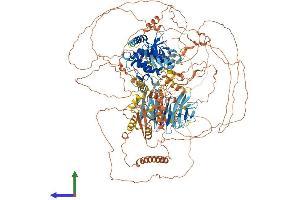 AlphaFold protein structure predicition of Mouse Recombinant Nrk Protein, UniprotID Q9R0G8