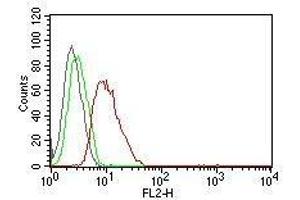 Flow Cytometric analysis of human Cyclin D1 on MCF-7 cells. (Cyclin D1 antibody  (PE))