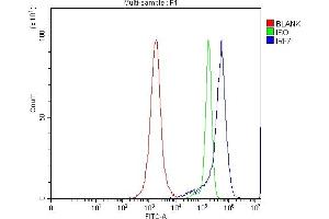 Flow Cytometry analysis of JK cells using anti-IRF7 antibody (ABIN7601022). (IRF7 antibody  (AA 27-503))