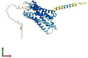 AlphaFold protein structure predicition of Mouse Recombinant Oprl1 Protein, UniprotID P35377 (OPRL1 Protein (AA 1-367) (His tag))