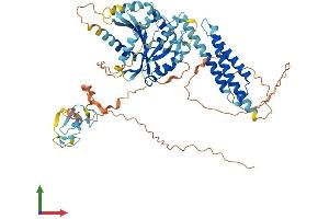 AlphaFold protein structure predicition of Human Recombinant RNF112 Protein, UniprotID Q9ULX5 (RNF112 Protein (AA 1-631) (His tag))