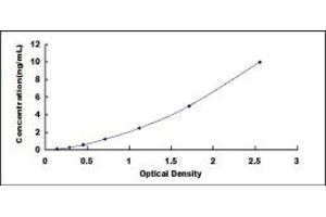 Typical standard curve (GCLM ELISA Kit)