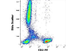 Flow cytometry surface staining pattern of human peripheral whole blood stained using anti-human CD2 (LT2) PE antibody (20 μL reagent / 100 μL of peripheral whole blood).